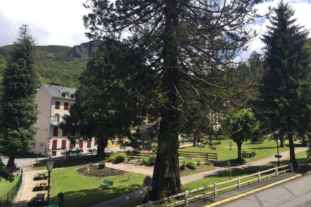 Cocon de la Vallée d'Ossau , Véritable Havre de paix - 4 à 6 pers Eaux-Bonnes Exterior foto